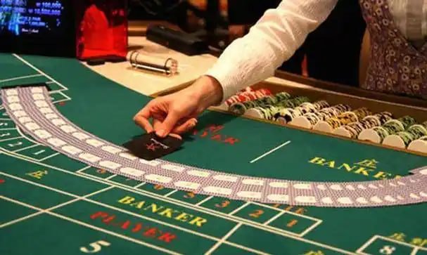 225bet